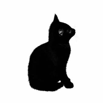 Black Photo Widget ideas[xPXvNdU1uQpkJ3a6ZnQE]