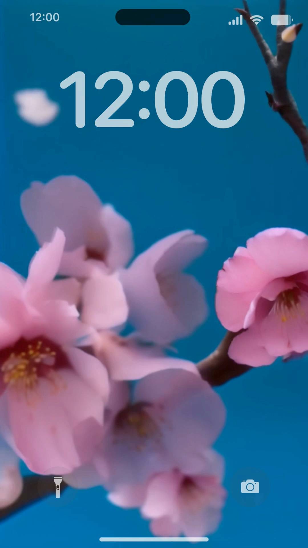 Cherry blossom blooming Živá tapeta[HzDzskKQyqT1ZUex7pYz]