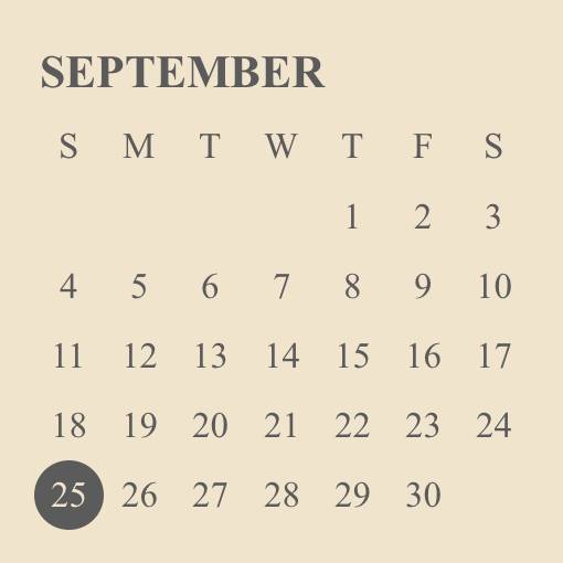 brown calendar widgetカレンダーウィジェット[V14qhqRbnZtmKC8BsolR]