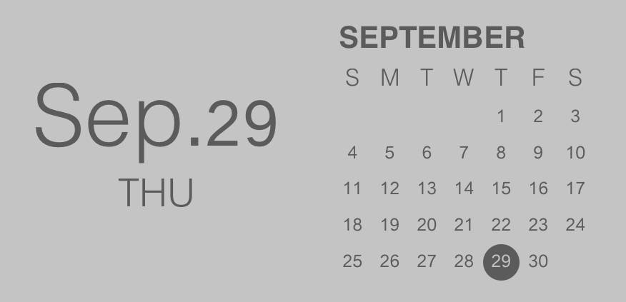 Diary Calendario Ideas de widgets[au2uJ7KyAlZCyWXhX84O]