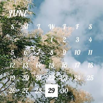 街中風景(木と空) Calendar Widget ideas[tPzGNUMSnMkvFMORDn9a]