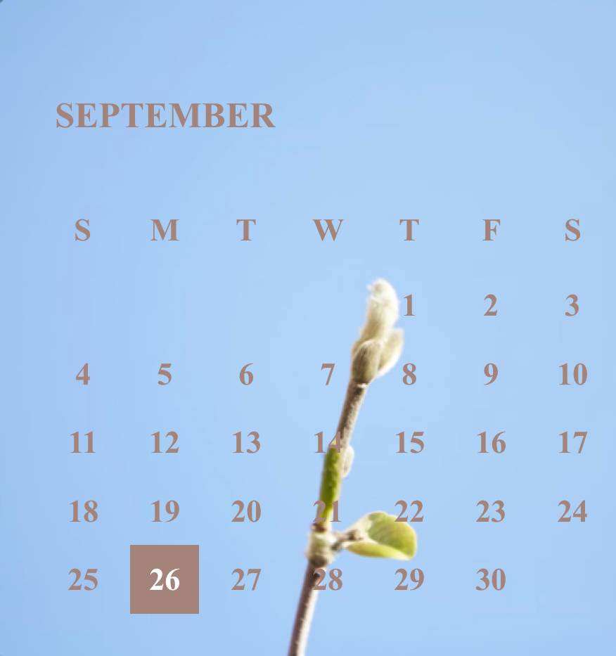 Calendar Widget ideas[swRenw6DSxzQFuBGkPn2]