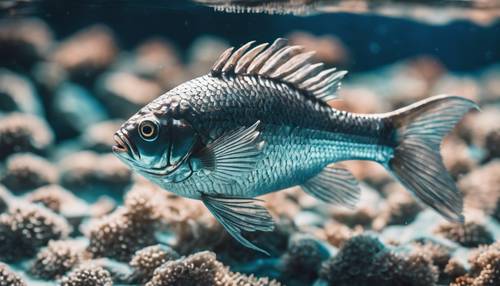 Gambar ikan perak dari jarak dekat dengan sisik yang memantulkan sinar matahari di bawah air laut biru tua.