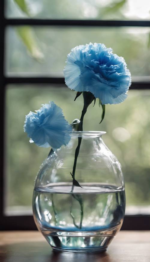 Un seul œillet bleu en pleine floraison dans un vase en verre transparent.