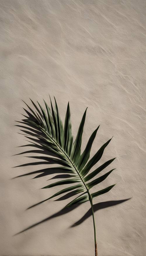 An isolated palm leaf casting a dynamic shadow against a neutral-colored, textured wall.