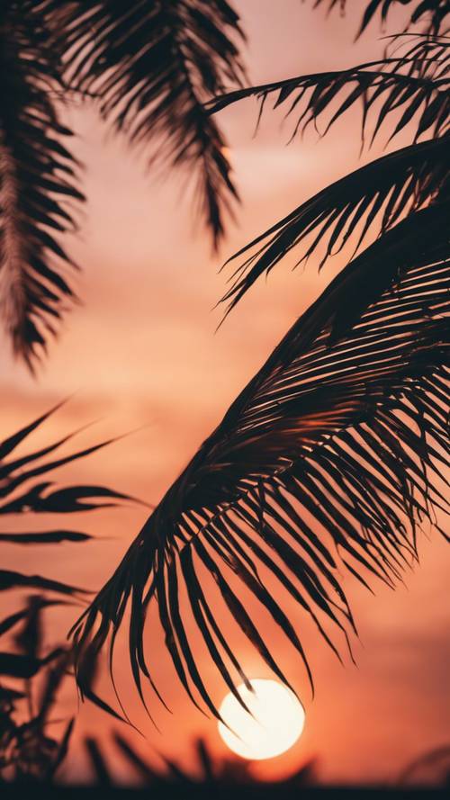 Uma silhueta cativante de folhas de palmeira rodopiantes contra um pôr do sol ardente. Papel de parede [68d3510aeb144039b5d6]