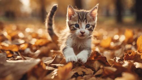 Un chaton joueur sautant d&#39;un tas de feuilles d&#39;automne dans une scène de parc.