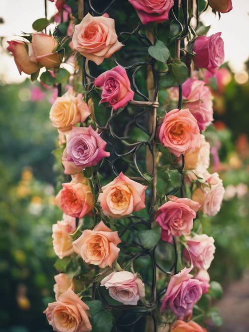 An enchanted flower garden complete with an array of multicolored roses intertwined on a trellis.
