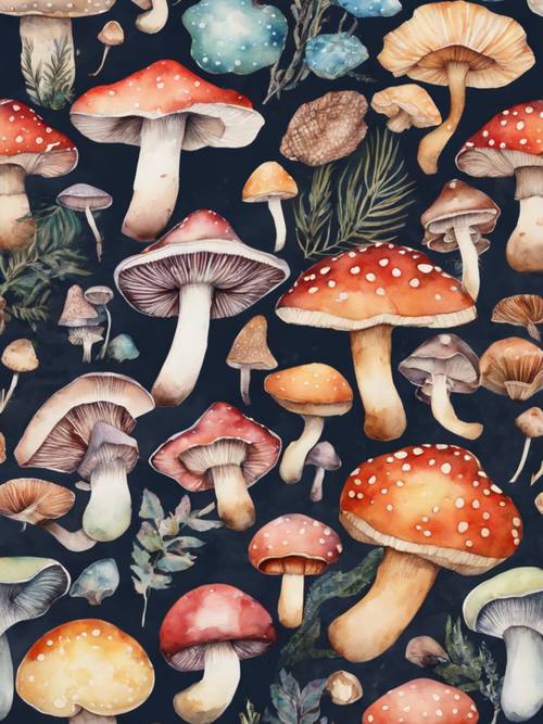 Акварельная иллюстрация множества экзотических милых грибов, каждый из которых имеет уникальные цвета и узоры, эстетично расположенные.