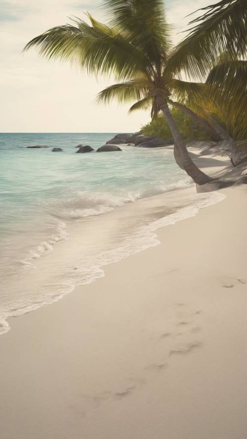 شاطئ رملي أبيض في منطقة البحر الكاريبي حيث تتمايل أشجار النخيل بلطف مع نسيم الساحل.