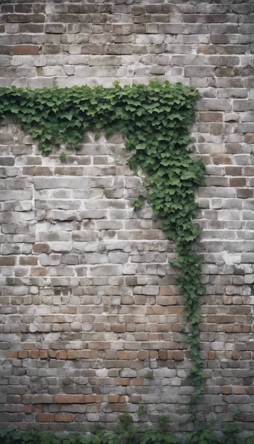 Dinding bata abu-abu dan putih yang lapuk dengan tanaman ivy menjalar di atasnya.
