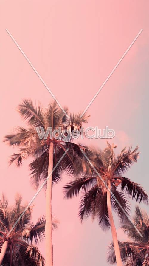 Tropical Palm Trees Under Pink Sky