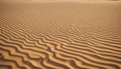 ภาพระยะใกล้ของระลอกคลื่นบนเนินทรายสีเหลืองในภูมิประเทศทะเลทรายแบบมินิมอล