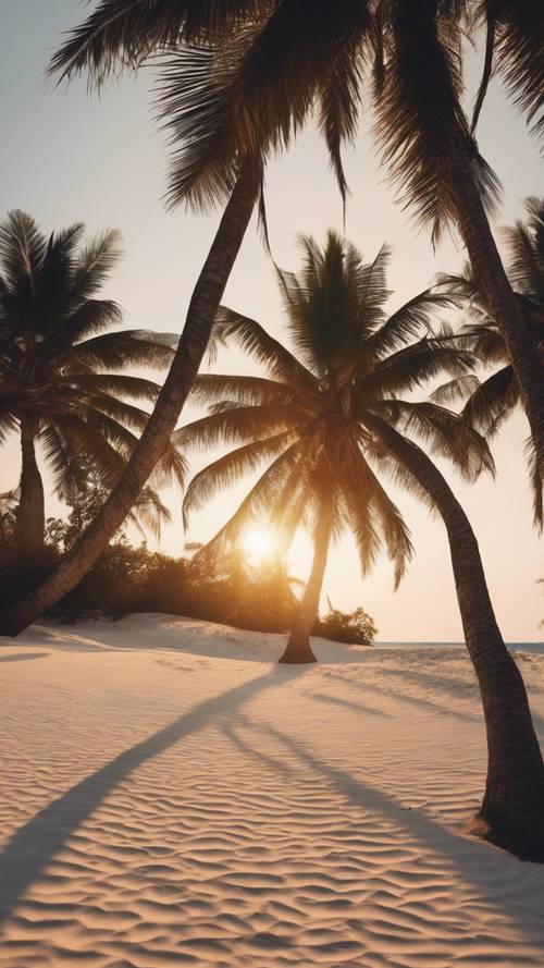 Une île tropicale au coucher du soleil, avec de grands palmiers distinctifs projetant de longues ombres sur le sable blanc.