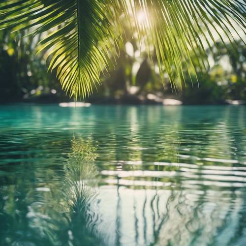 A serene scene of palm leaves reflected in the crystal clear water of a tropical lagoon.