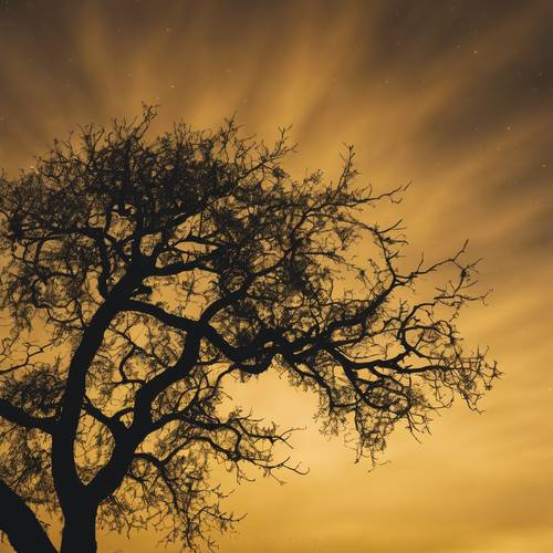 黃昏時分，一棵樹在深黃色天空的背景下的輪廓。