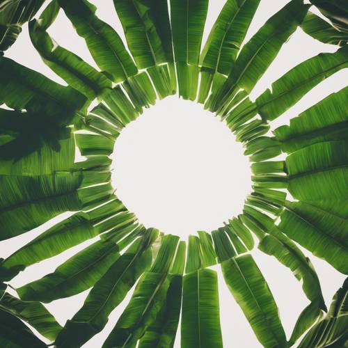 A banana leaf seen through a kaleidoscopic lens.