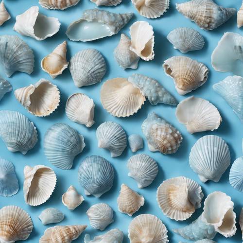 Baby blue seashells arranged to form a seamless summery pattern. Шпалери [ffe9ea1ec3744346a4e0]