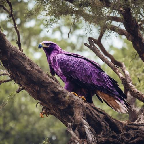 An astoundingly vivid purple eagle with predatory eyes, scanning the savannah from atop a gnarled tree