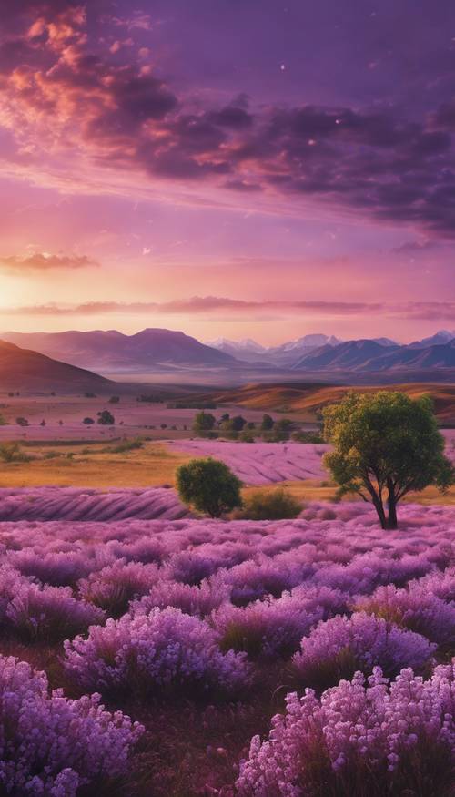 令人惊叹的日落，洒在雄伟山脉环绕的淡紫色平原上。