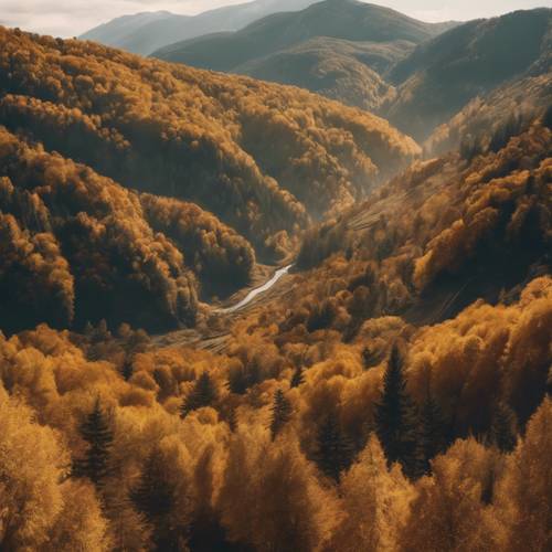 Uma vista panorâmica de um vale montanhoso estético repleto de folhagens douradas de outono.
