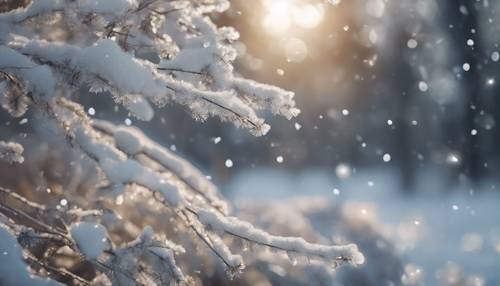 Ein frischer Wintermorgen mit grau glitzernden Schneeflocken im sanften Sonnenlicht.