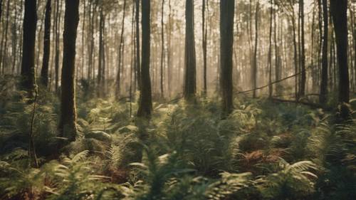 Gambar kawasan hutan yang direhabilitasi menunjukkan penyelesaian krisis ekologi.