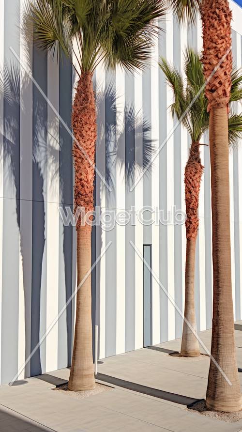 Palm Trees and Striped Shadows