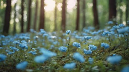 A forest scene with light blue flowers blooming on the forest floor.