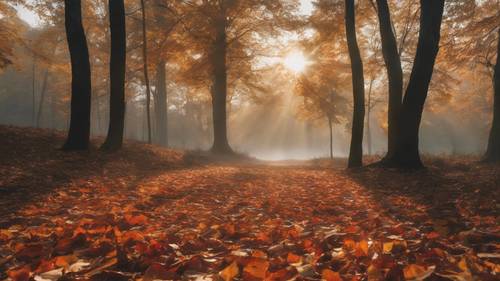 A misty morning sunrise through a forest blanketed in fall colors, with fallen leaves creating a carpet underfoot.