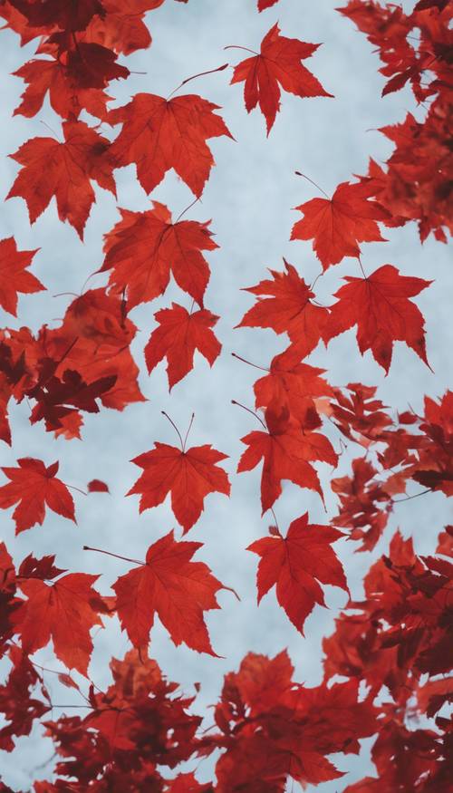 A dynamic pattern of red autumn leaves falling against an overcast sky.