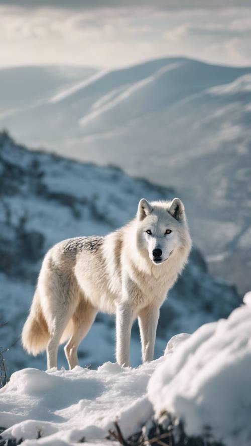 Eine ätherische Szene eines geisterhaften weißen Wolfes, der unter der blassen Wintersonne am Rand einer eisigen Klippe steht, um ihn herum wirbelnde Schneeböen.