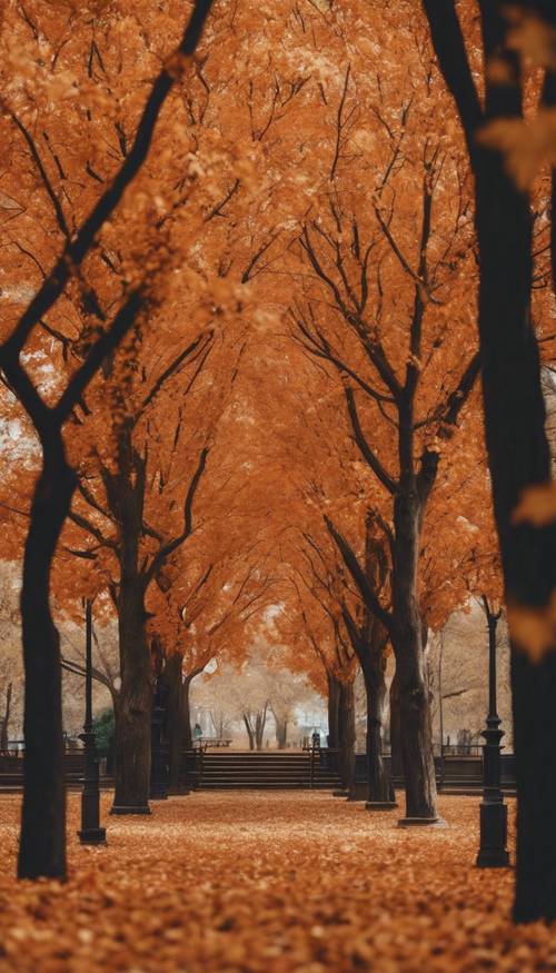 A park filled with trees that have leaves turned orange in the fall.