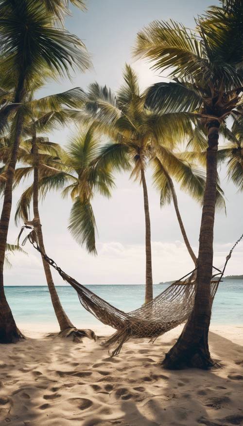 Panorama of a romantic tropical scene with dark palm trees surrounding a hammock tied near the beach.
