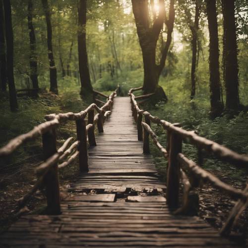 Uma trilha na floresta que leva a uma ponte de madeira, em formato de coração quando vista de um determinado ângulo. Papel de parede [e3cf6bd93e214e35b9bb]