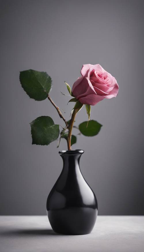Una única rosa rosa oscura en un jarrón negro sobre un fondo gris.