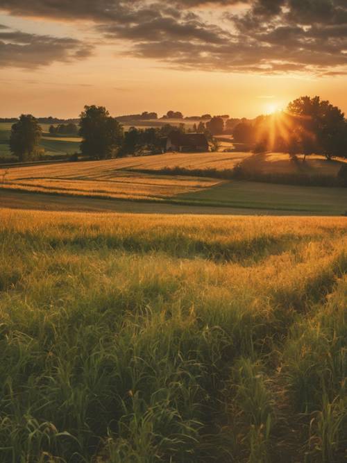 A vibrant July sunset casting long shadows over a peaceful rural farmland.