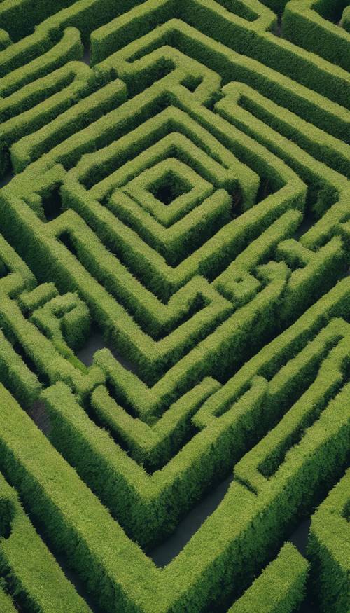An aerial view of a meticulously crafted hedge maze in a lush green garden.