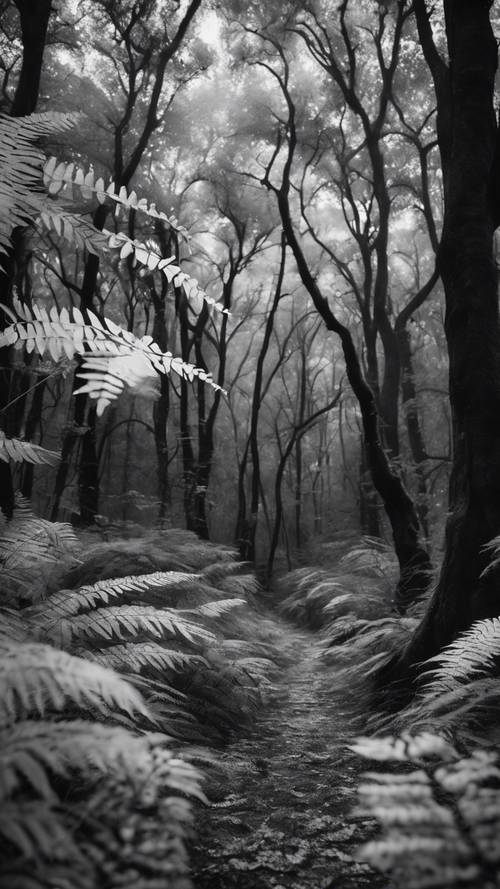Monochromatyczny obraz lasu z podłogą porośniętą białymi paprociami i czarnymi drzewami górującymi nad głowami.