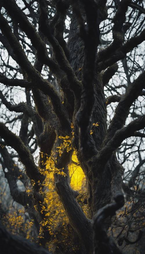 Un paio di occhi gialli che brillano tra gli alberi neri e nodosi di una foresta oscura.