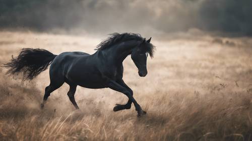 L&#39;immagine di un cavallo nero che corre libero, una citazione stimolante sulla libertà incarnata nel vento che lo sostiene.