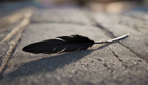 A photorealistic image of a single ebony feather, fallen from a blackbird's wing.