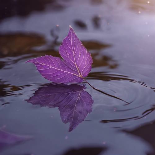 Ein zartes violettes Blatt, das wunderschön auf einem ruhigen Teich schwimmt.