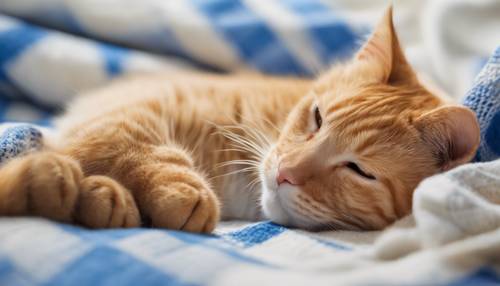 An adorable orange cat napping on a cozy blue and white checkered blanket.