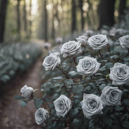 A path in the forest lined with the unexpected beauty of gray roses.