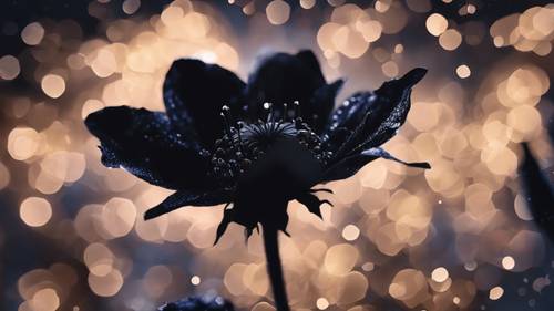 ภาพเงาของดอกไม้สีดำที่เบ่งบานยามค่ำคืน กลีบดอกส่องแสงระยิบระยับเล็กน้อยใต้ท้องฟ้าที่ส่องแสงดาว
