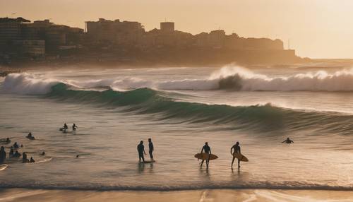 Bondi Beach at sunset with surfers riding the waves Wallpaper [57e461e06ae648a09fda]
