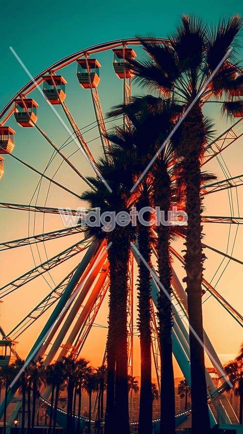 Roda gigante e palmeiras ao pôr do sol