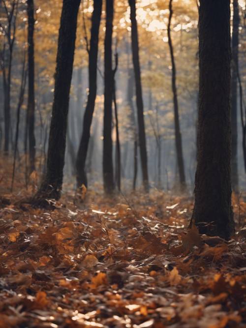 Forêt d&#39;automne au crépuscule, créatures nocturnes commençant à sortir de leur sommeil.