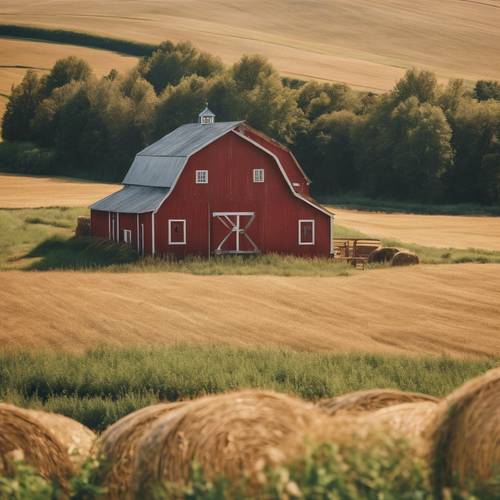 An idyllic view of a bright red barn in a sunny countryside landscape, surrounded by summer wildflowers and golden hay bales. کاغذ دیواری [b0f13acc918d4d5c87a0]